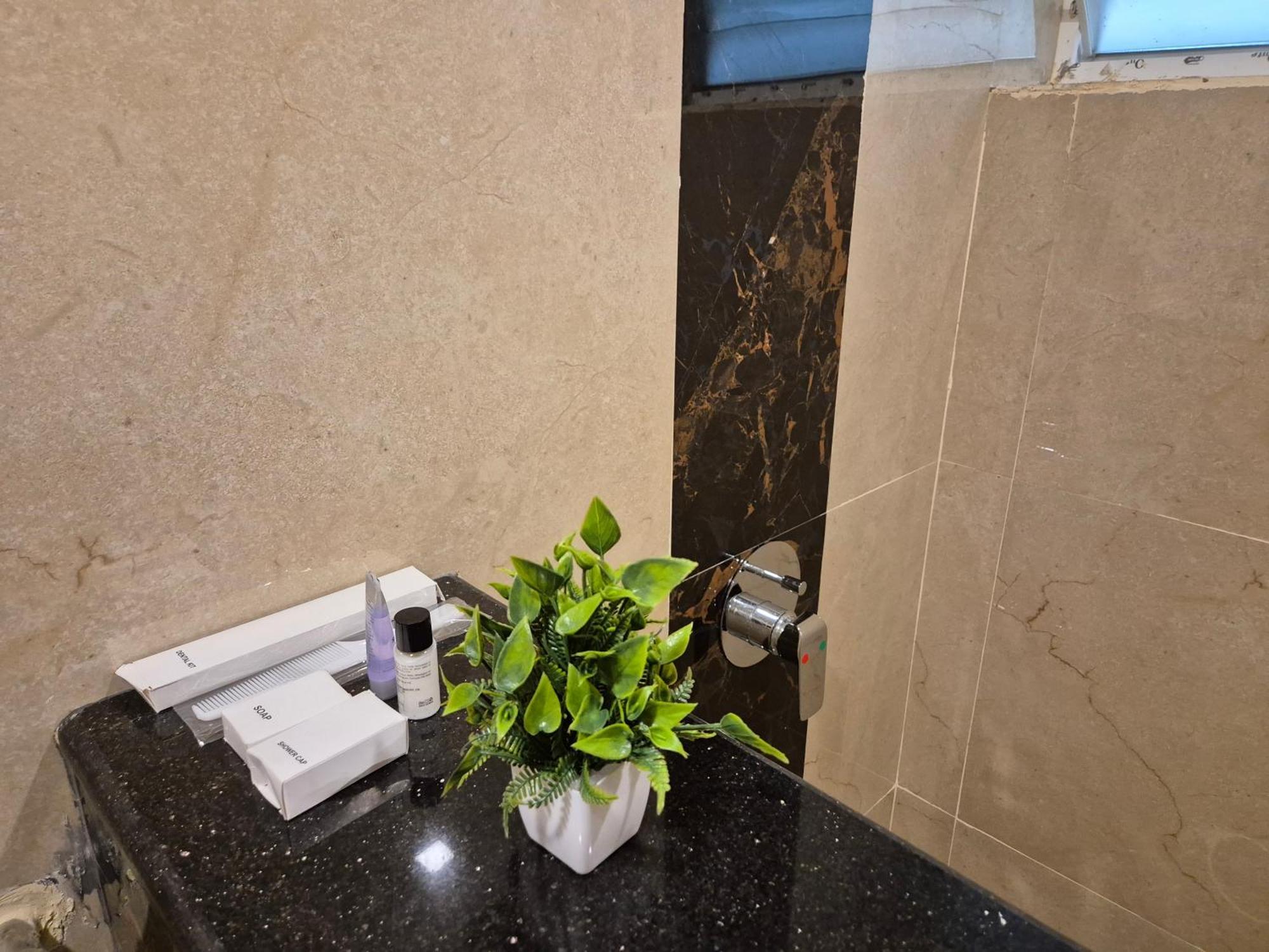 Hotel Janas ティルパティ エクステリア 写真
